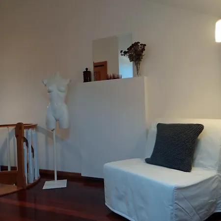 Apartment S. Joao *